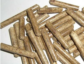 biofuel de briquette