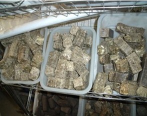 presse a briquettes